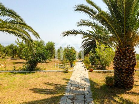 Μονοκατοικία 101τ.μ. για πώληση-Κασσάνδρα » Κασσανδρηνό