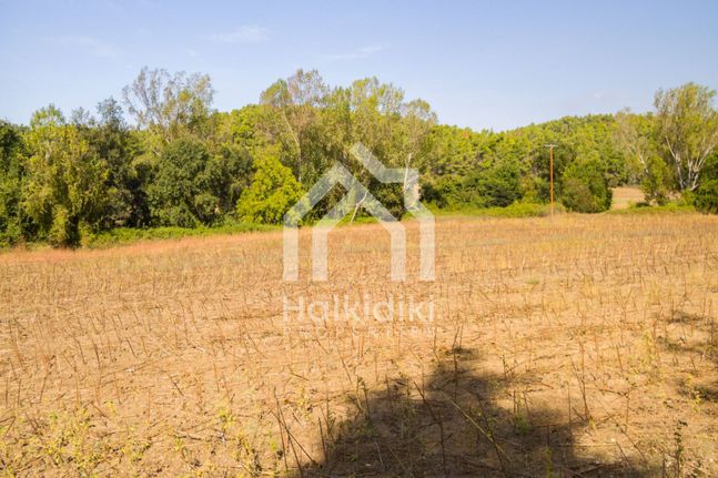 Αγροτεμάχια 13.500 τ.μ. για πώληση, Χαλκιδική, Κασσάνδρα