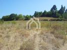 Αγροτεμάχια 8.016τ.μ. για πώληση-Κασσάνδρα » Κασσανδρηνό