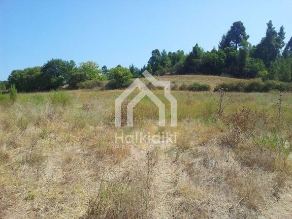 Αγροτεμάχια 8.016 τ.μ. για πώληση, Χαλκιδική, Κασσάνδρα