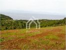 Αγροτεμάχια 13.380τ.μ. για πώληση-Κασσάνδρα » Κασσανδρηνό