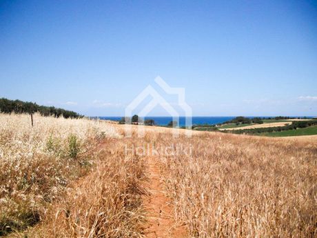 Αγροτεμάχια 34.500τ.μ. για πώληση-Κασσάνδρα » Κασσανδρηνό
