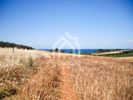 Parcel 34.500sqm for sale-Kassandra » Kassandrino