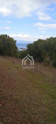 Αγροτεμάχια 21.439 τ.μ. για πώληση, Χαλκιδική, Κασσάνδρα