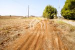 Parcel 21.000sqm for sale-Kassandra » Kassandrino