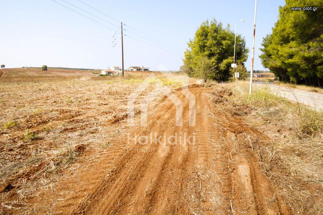 Αγροτεμάχια 21.000 τ.μ. για πώληση, Χαλκιδική, Κασσάνδρα