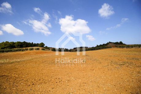 Αγροτεμάχια 6.375τ.μ. για πώληση-Κασσάνδρα » Κασσανδρηνό