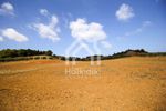 Parcel 6.375sqm for sale-Kassandra » Kassandrino
