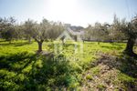 Parcel 2.800sqm for sale-Kassandra » Kassandrino