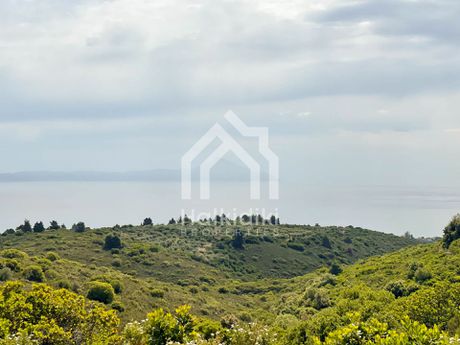 Αγροτεμάχια 21.600τ.μ. για πώληση-Σιθωνία » Παρθενώνας