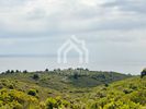 Parcel 21.600sqm for sale-Sithonia » Parthenonas