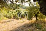 Parcel 1.500sqm for sale-Sithonia » Parthenonas