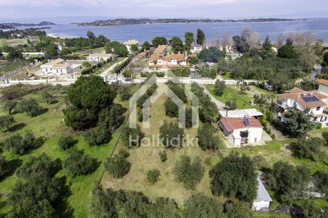 Αγροτεμάχια 1.817τ.μ. για πώληση-Σιθωνία » Παρθενώνας