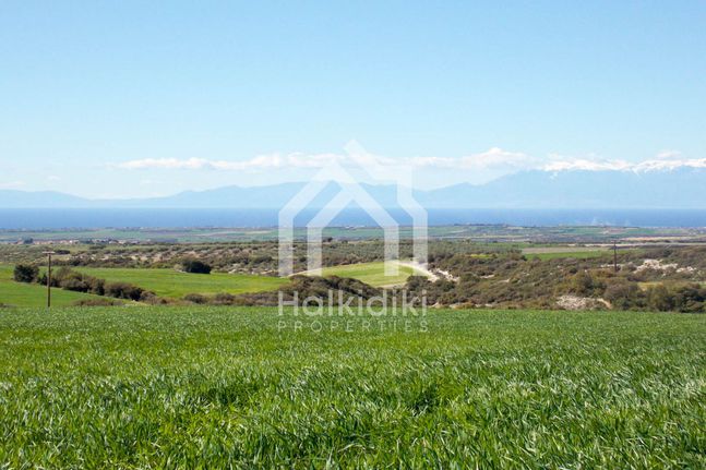 Αγροτεμάχια 5.576 τ.μ. για πώληση, Χαλκιδική, Τριγλία