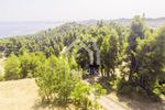 Detached home 117sqm for sale-Kassandra » Kassandrino