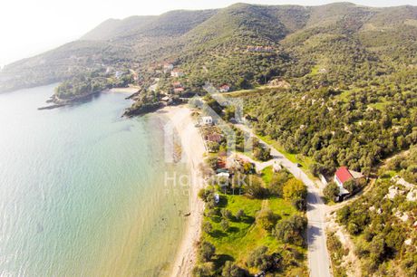 Αγροτεμάχια 8.000τ.μ. για πώληση-Παναγιά » Κέντρο