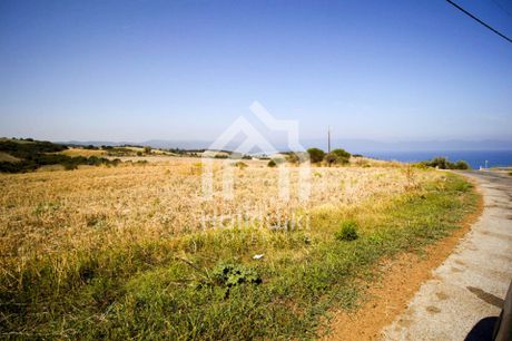Αγροτεμάχια 15.000 τ.μ. για πώληση