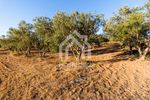 Land plot 5.350sqm for sale-Sithonia » Parthenonas