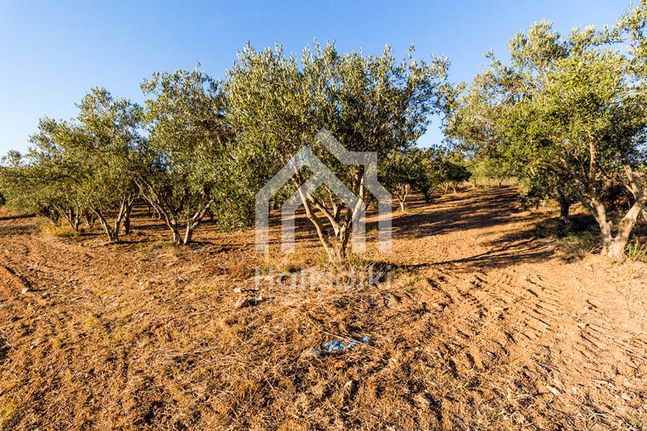 Land plot 5.350 sqm for sale, Chalkidiki, Sithonia