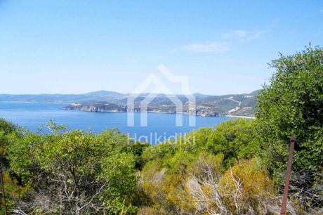 Αγροτεμάχια 4.500τ.μ. για πώληση-Παναγιά » Κέντρο