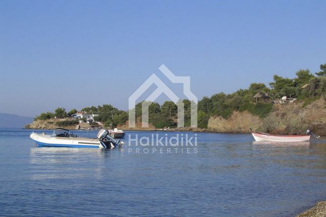 Αγροτεμάχια 8.000 τ.μ. για πώληση, Χαλκιδική, Κασσάνδρα