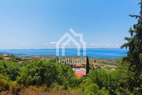 Μονοκατοικία 400τ.μ. για πώληση-Σιθωνία » Παρθενώνας