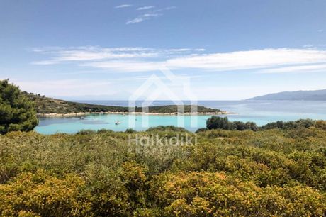 Αγροτεμάχια 88.000τ.μ. για πώληση-Σιθωνία » Παρθενώνας