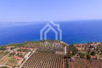 Parcel 4.062sqm for sale-Kassandra » Kassandrino