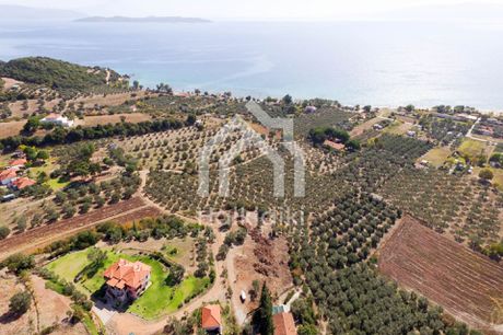 Αγροτεμάχια 3.840τ.μ. για πώληση-Παναγιά » Κέντρο