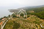 Αγροτεμάχια 8.500τ.μ. για πώληση-Σιθωνία » Παρθενώνας