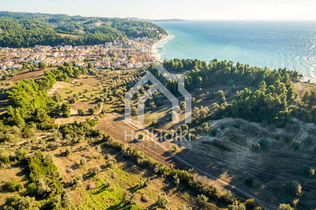 Αγροτεμάχια 40.000 τ.μ. για πώληση, Χαλκιδική, Κασσάνδρα