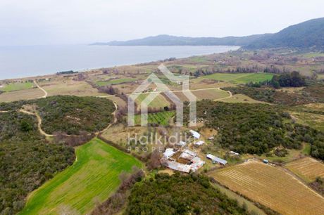 Αγροτεμάχια 6.880τ.μ. για πώληση-Παναγιά » Κέντρο