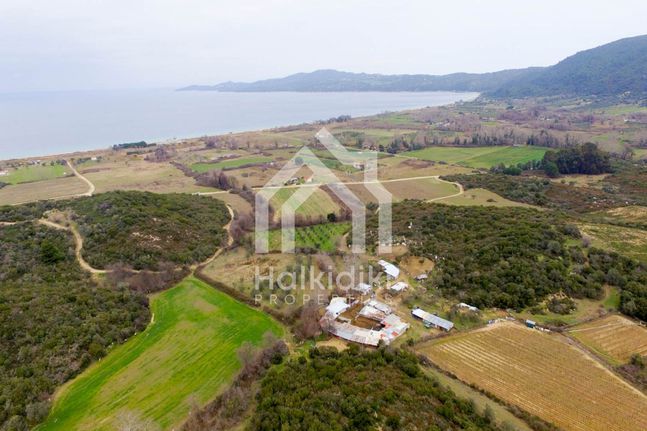 Αγροτεμάχια 6.880 τ.μ. για πώληση, Χαλκιδική, Παναγιά