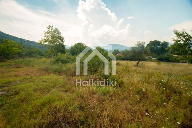 Οικόπεδο 1.354 τ.μ. για πώληση, Χαλκιδική, Παναγιά