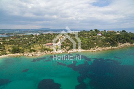 Αγροτεμάχια 3.600τ.μ. για πώληση-Σιθωνία » Παρθενώνας