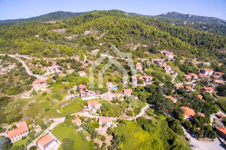 Οικόπεδο 244τ.μ. για πώληση-Σιθωνία » Παρθενώνας