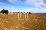 Αγροτεμάχια 8.100τ.μ. για πώληση-Κασσάνδρα » Κασσανδρηνό
