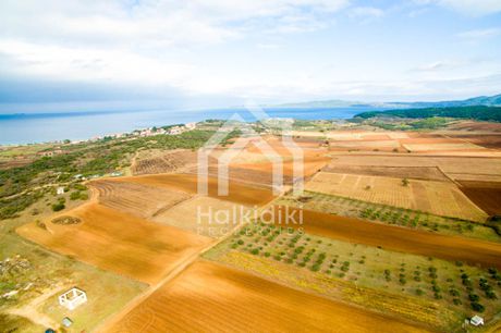 Αγροτεμάχια 7.750τ.μ. για πώληση-Παναγιά » Κέντρο