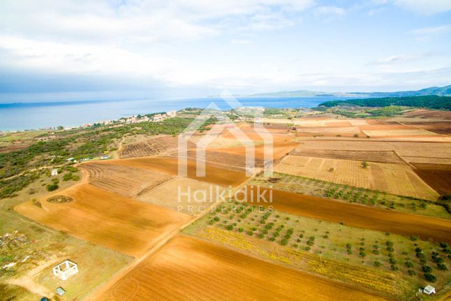 Parcel 7.750 sqm for sale, Chalkidiki, Panagia