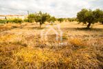 Land plot 650sqm for sale-Sithonia » Parthenonas