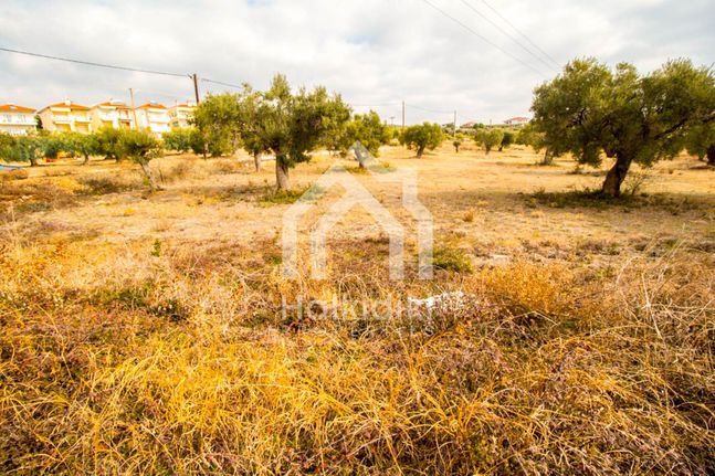 Οικόπεδο 650 τ.μ. για πώληση, Χαλκιδική, Σιθωνία