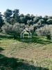 Parcel 4.010sqm for sale-Sithonia » Parthenonas