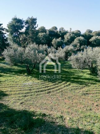 Parcel 4.010 sqm for sale, Chalkidiki, Sithonia