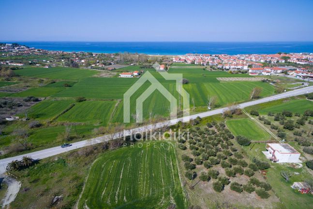 Αγροτεμάχια 13.954 τ.μ. για πώληση, Χαλκιδική, Κασσάνδρα