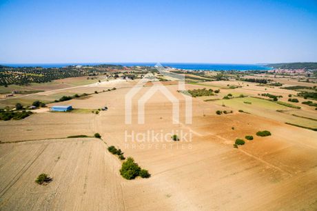 Αγροτεμάχια 4.020τ.μ. για πώληση-Κασσάνδρα » Κασσανδρηνό