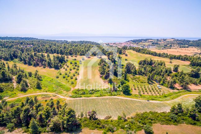 Parcel 18.780 sqm for sale, Chalkidiki, Kassandra
