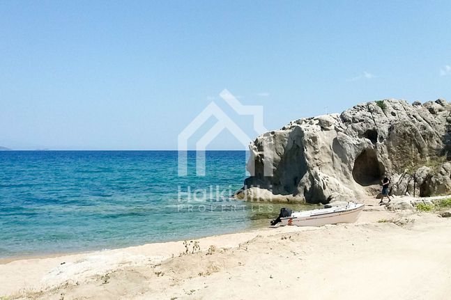 Αγροτεμάχια 40.000 τ.μ. για πώληση, Χαλκιδική, Παναγιά