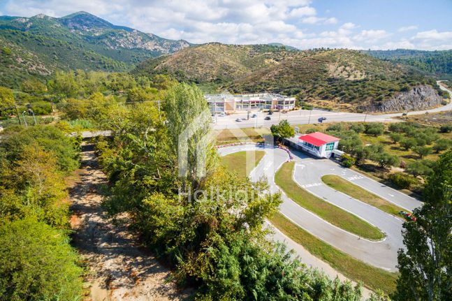 Αγροτεμάχια 7.320 τ.μ. για πώληση, Χαλκιδική, Σιθωνία