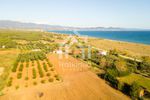 Αγροτεμάχια 5.800τ.μ. για πώληση-Τριγλία » Νέα τρίγλια