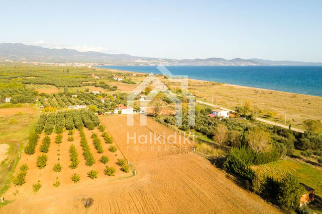 Αγροτεμάχια 5.800 τ.μ. για πώληση, Χαλκιδική, Τριγλία